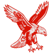 Hagersville Hawks Jr C