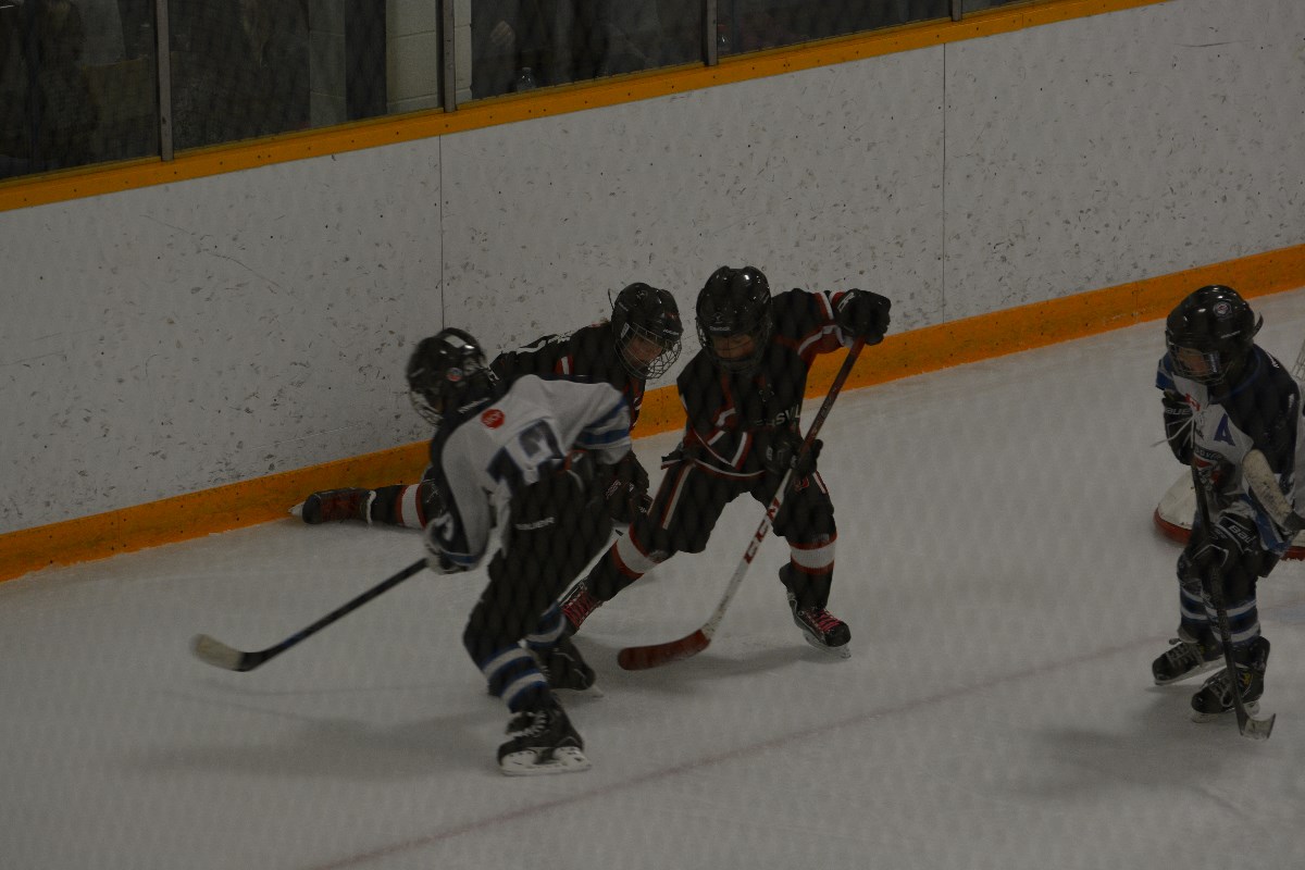 DSC_1084.JPG
